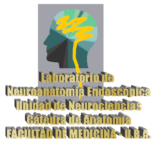 Noticias - Dr. Guillermo Larrarte